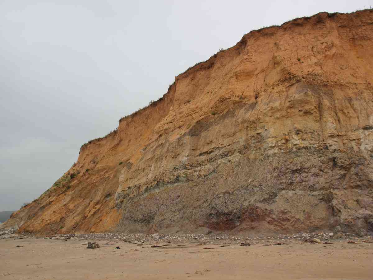 Dinosaur Expeditions picture gallery